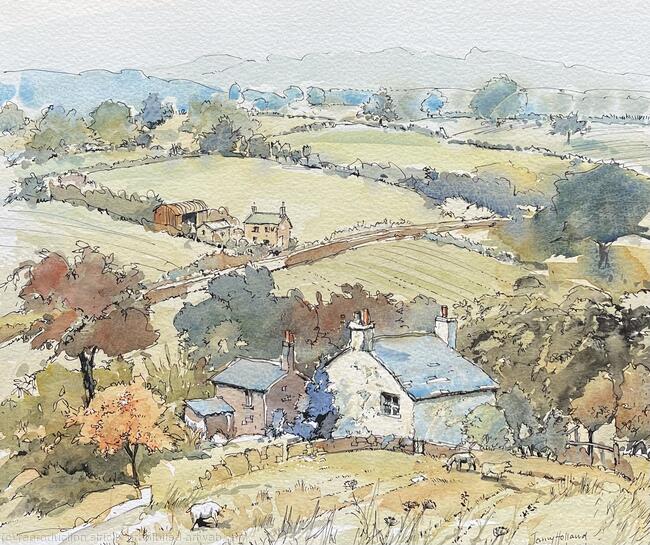 Rhes y Cae, Flintshire