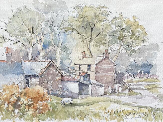 Cottages on Holywell Common, Flintshire