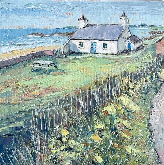 Spring Cowparsley at Porth Nobla, Anglesey