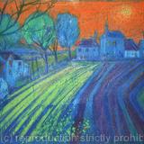 Newly Ploughed Field