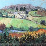 Yellow Broom, Mynydd Bodafon, Anglesey