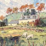 Old Cottage by Borth y Gest, Llyn Peninsula