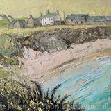 Early Broom, Porth Trecastell