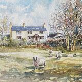 Moel y Crio, Flintshire