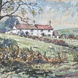 Cottages on Holywell Common, Flintshire