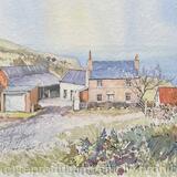 Pink Farm, Great Orme, Llandudno