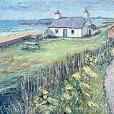 Spring Cowparsley at Porth Nobla, Anglesey