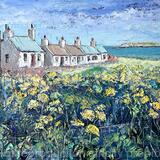 ynys Moelfre & Fisermens' Cottages