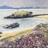 Flower Time on Llanddwyn Island