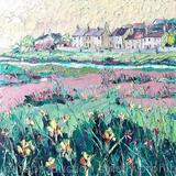 Marsh Lillies at Aberffraw