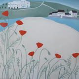 Burgh Island Poppies