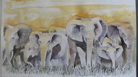 elephant-group-2