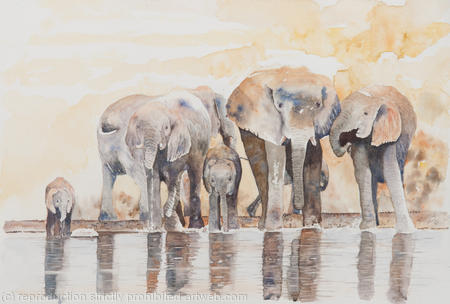 elephant-watering-hole