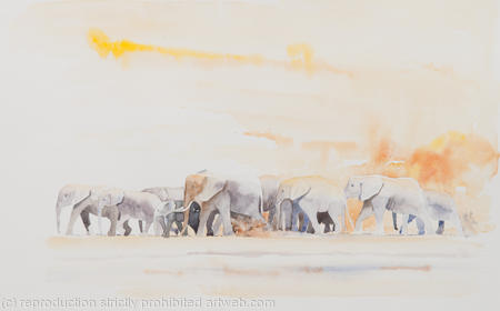 elephant-migration