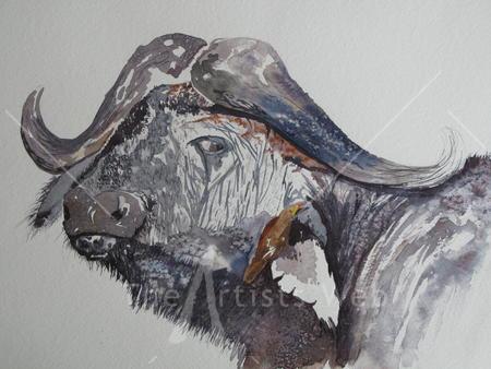 Water Buffalo and friend