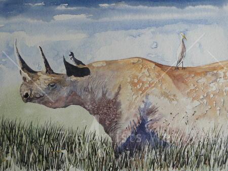 Rhino and friends
