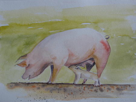 Sow and piglet