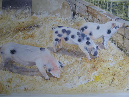 Waiting for breakfast