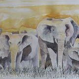 elephant-group-2