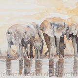 elephant-watering-hole