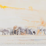 elephant-migration