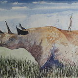 Rhino and friends