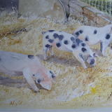 Waiting for breakfast