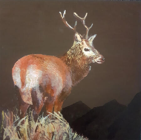 Red Deer Stag on Jura