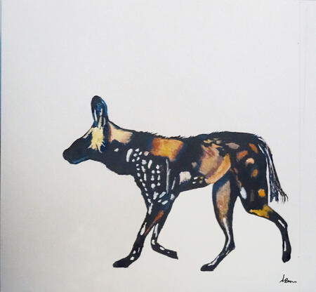 African Hunting dog