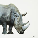 Rhino - Endangered species