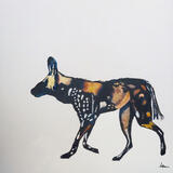 African Hunting dog