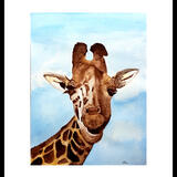 Mile high club £100-00