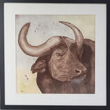The African Buffalo  £60-00