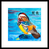 Mandarin Duck £100-00