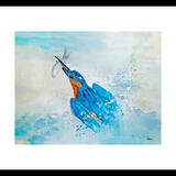 King of fishers £50-00