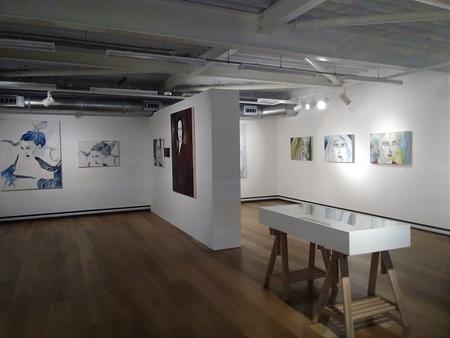 Women of a Nervous Disposition - solo show.  Attenborough  Arts Centre, Gallery 3,Leicester 2018