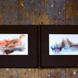 The Gold She Finds - Book for Camille