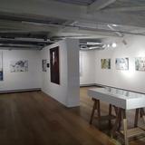 Women of a Nervous Disposition - solo show.  Attenborough  Arts Centre, Gallery 3,Leicester 2018