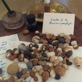 Women of a Nervous Disposition - Camille pebbles.