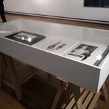 Women of a Nervous Disposistion