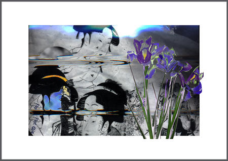 Desperately Seeking Sushi