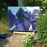 Iris Diptych, participating in Warwickshire Arts Week 2006