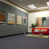 Installation; Gallery 150,  July 2011