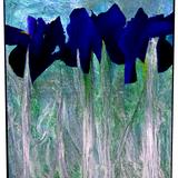 And You Can Keep Your Flowers