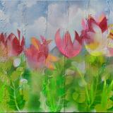 Nearly bought you Flowers