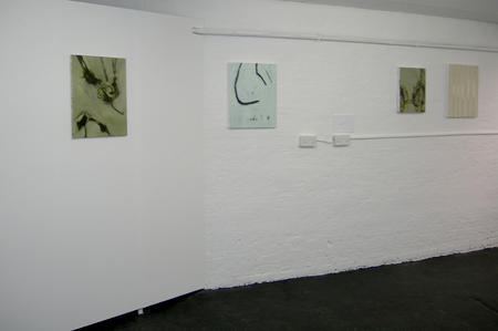 Tang Installation view