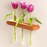 Ikebana Flower Holder