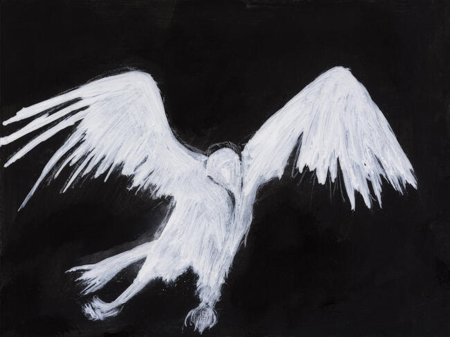 Free Fall