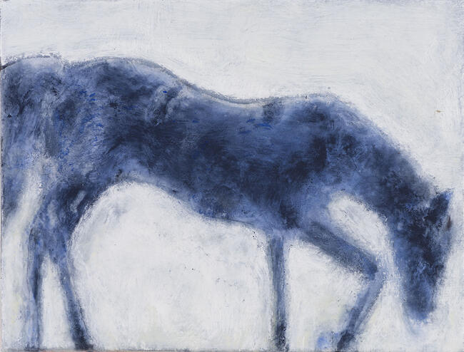 Pasture