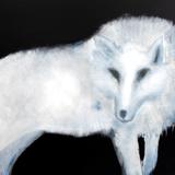 Arctic Wolf